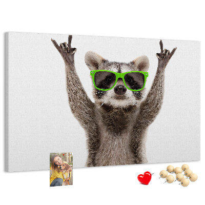Tablero de anuncios Mapache loco con gafas verdes