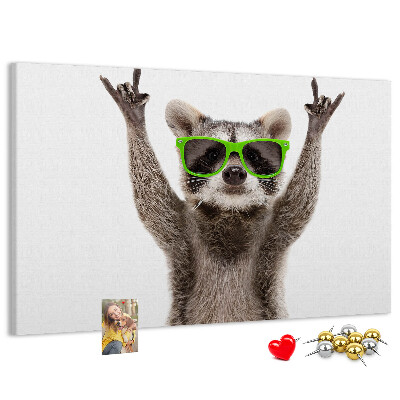 Tablero de anuncios Mapache loco con gafas verdes