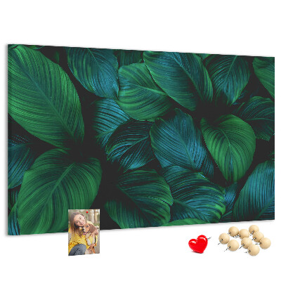 Pizarra de corcho con diseño de hojas tropicales sobre fondo oscuro