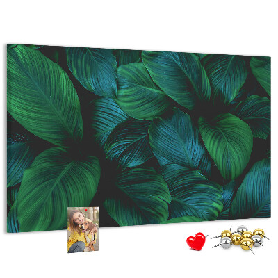 Pizarra de corcho con diseño de hojas tropicales sobre fondo oscuro