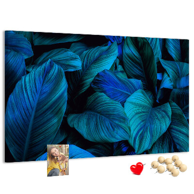 Tablero de anuncios hojas de color azul intenso