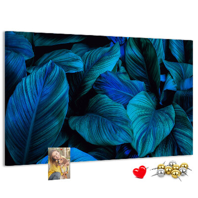 Tablero de anuncios hojas de color azul intenso