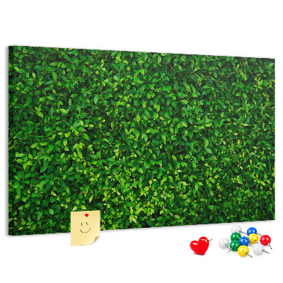 Tablero de anuncios con estampado de hojas verdes