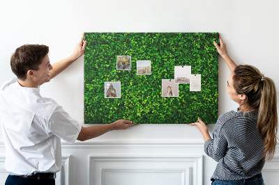 Tablero de anuncios con estampado de hojas verdes