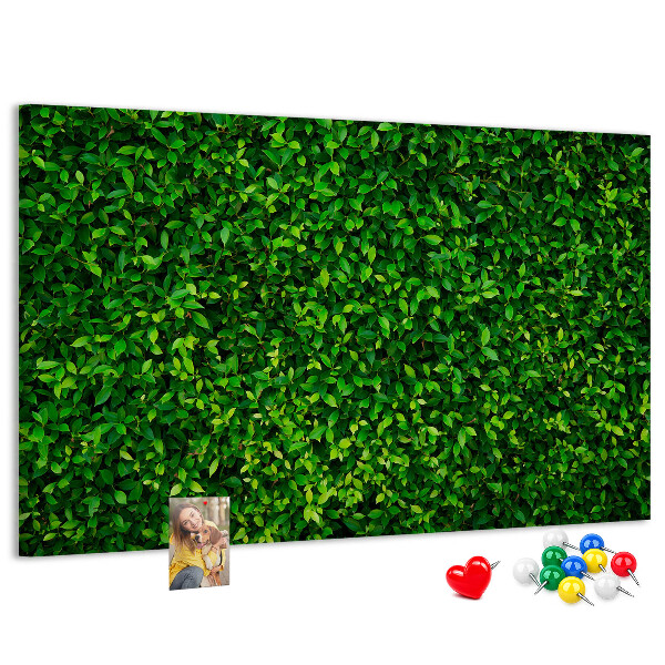 Tablero de anuncios con estampado de hojas verdes