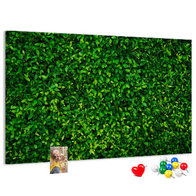 Tablero de anuncios con estampado de hojas verdes