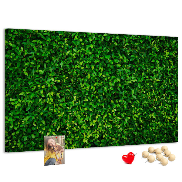 Tablero de anuncios con estampado de hojas verdes