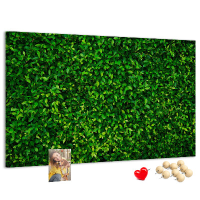Tablero de anuncios con estampado de hojas verdes
