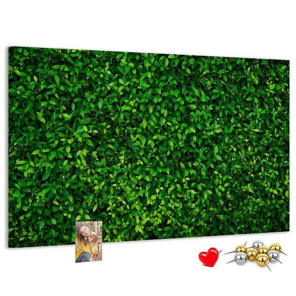 Tablero de anuncios con estampado de hojas verdes