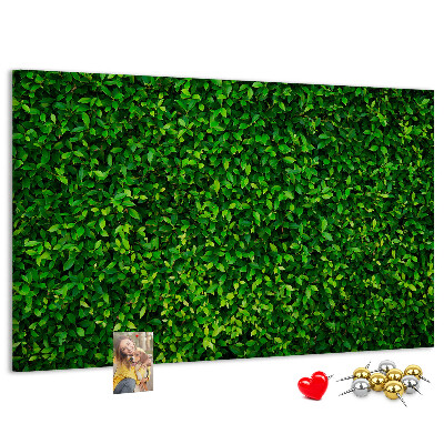 Tablero de anuncios con estampado de hojas verdes