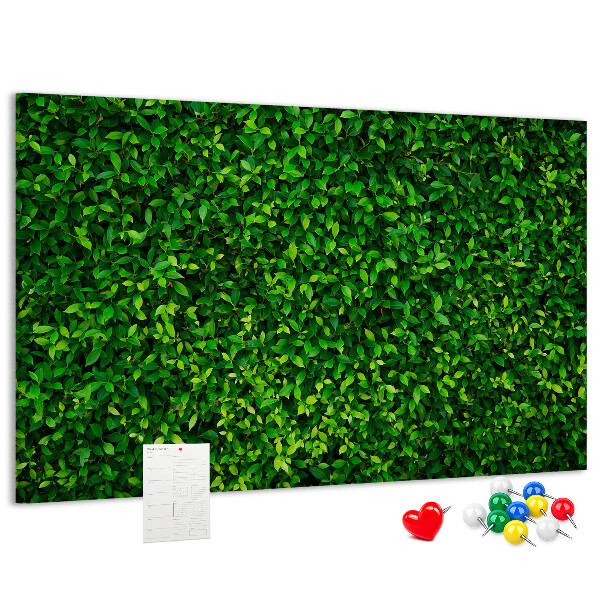 Tablero de anuncios con estampado de hojas verdes