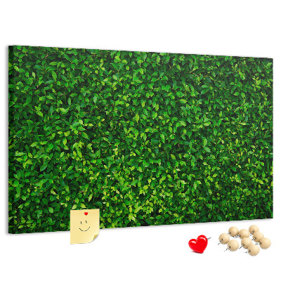 Tablero de anuncios con estampado de hojas verdes