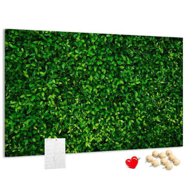 Tablero de anuncios con estampado de hojas verdes