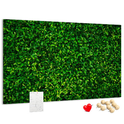 Tablero de anuncios con estampado de hojas verdes
