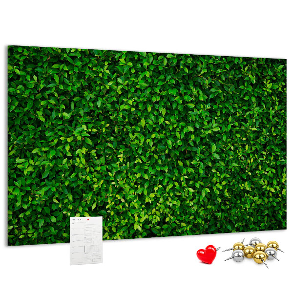 Tablero de anuncios con estampado de hojas verdes