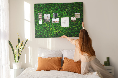 Tablero de anuncios con estampado de hojas verdes