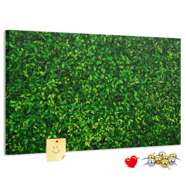 Tablero de anuncios con estampado de hojas verdes