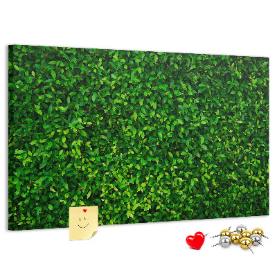 Tablero de anuncios con estampado de hojas verdes