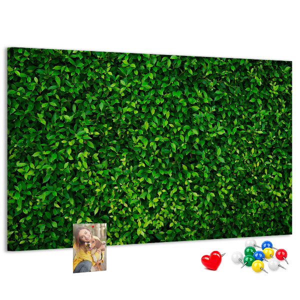 Tablero de anuncios con estampado de hojas verdes
