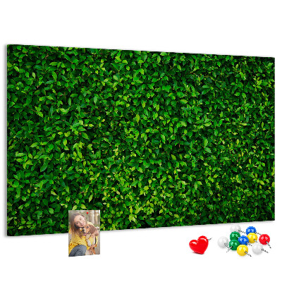 Tablero de anuncios con estampado de hojas verdes