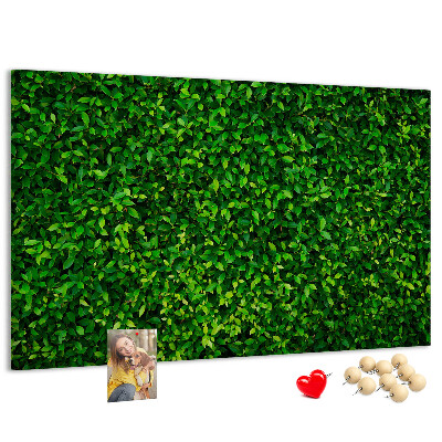Tablero de anuncios con estampado de hojas verdes