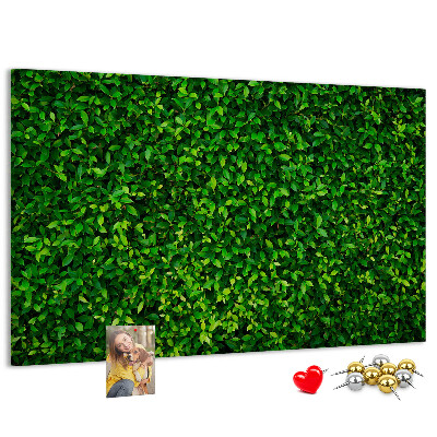Tablero de anuncios con estampado de hojas verdes