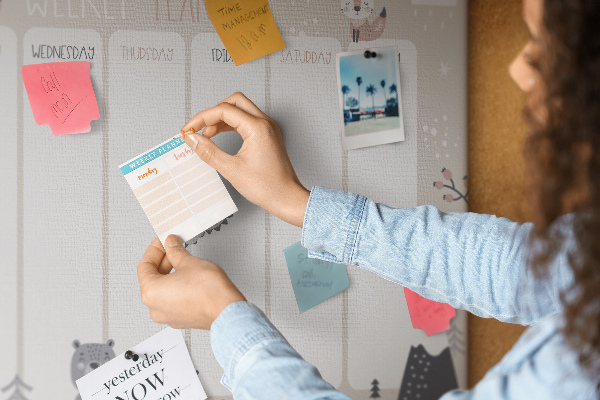Tablero de corcho decorado con diseño de animales del bosque para agenda semanal