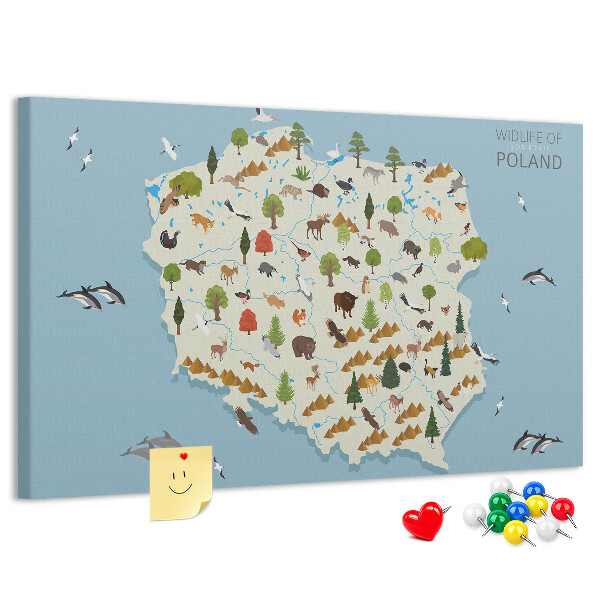 Tablero de corcho decorativo mapa colorido de la fauna polaca