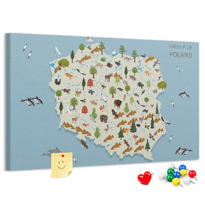 Tablero de corcho decorado La fauna polaca en un mapa colorido