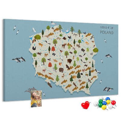 Tablero de corcho decorativo mapa colorido de la fauna polaca