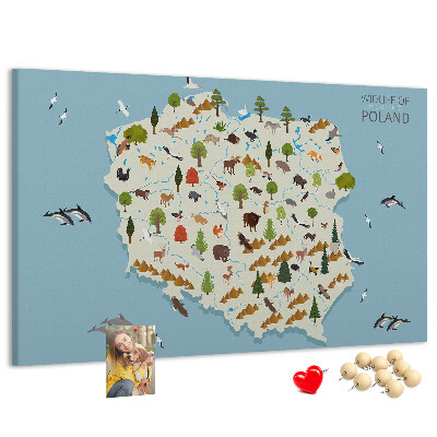 Tablero de corcho decorativo mapa colorido de la fauna polaca