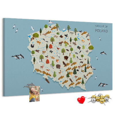 Tablero de corcho decorativo mapa colorido de la fauna polaca