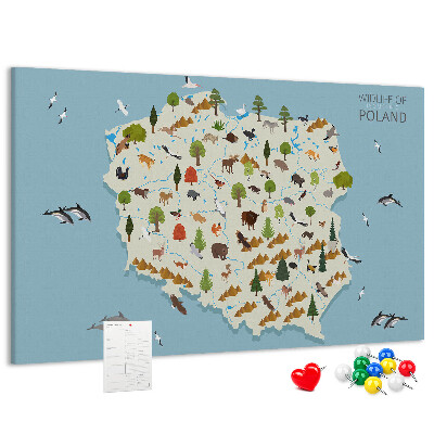 Tablero de corcho decorativo mapa colorido de la fauna polaca
