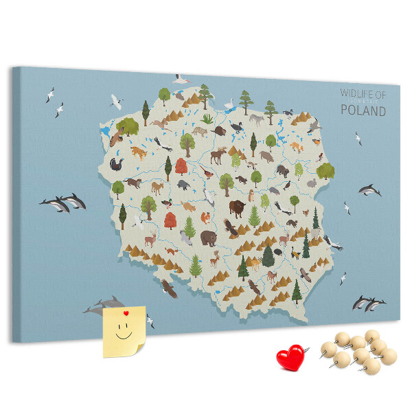 Tablero de corcho decorativo mapa colorido de la fauna polaca