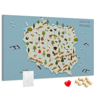 Tablero de corcho decorativo mapa colorido de la fauna polaca