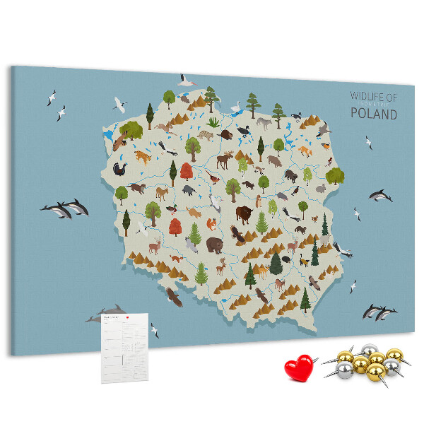 Tablero de corcho decorativo mapa colorido de la fauna polaca