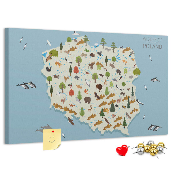 Tablero de corcho decorativo mapa colorido de la fauna polaca