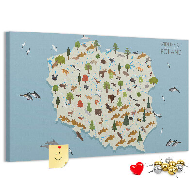 Tablero de corcho decorativo mapa colorido de la fauna polaca