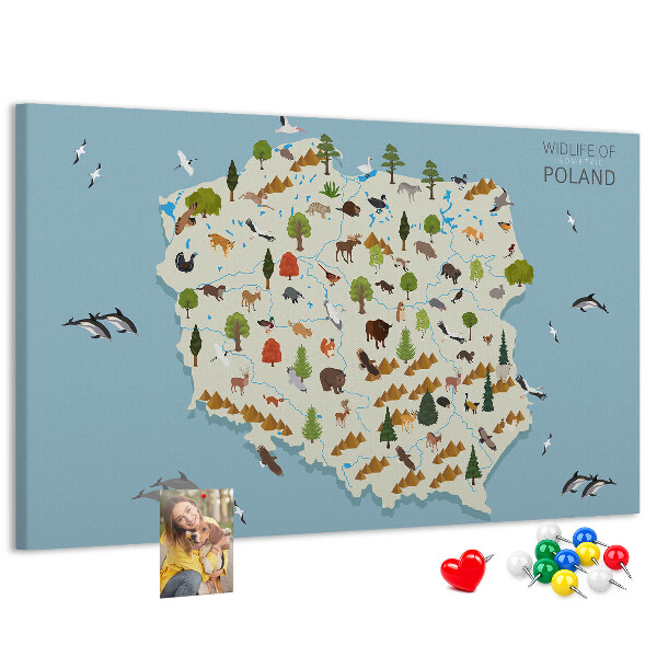 Tablero de corcho decorativo mapa colorido de la fauna polaca