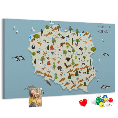 Tablero de corcho decorativo mapa colorido de la fauna polaca