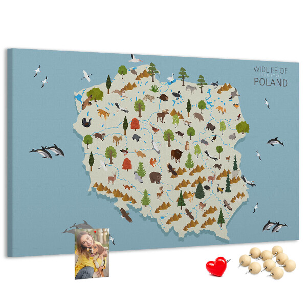 Tablero de corcho decorativo mapa colorido de la fauna polaca