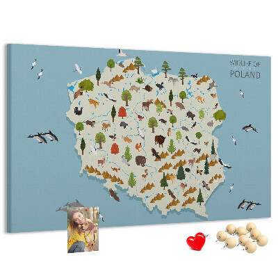 Tablero de corcho decorativo mapa colorido de la fauna polaca