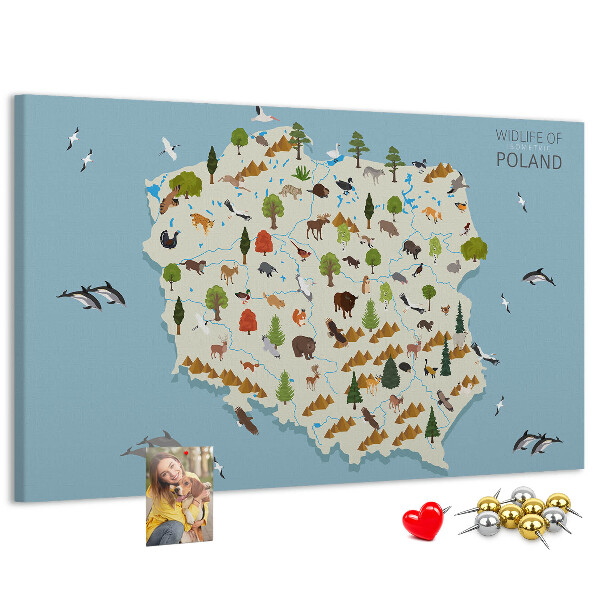 Tablero de corcho decorativo mapa colorido de la fauna polaca