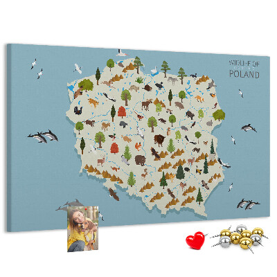 Tablero de corcho decorativo mapa colorido de la fauna polaca