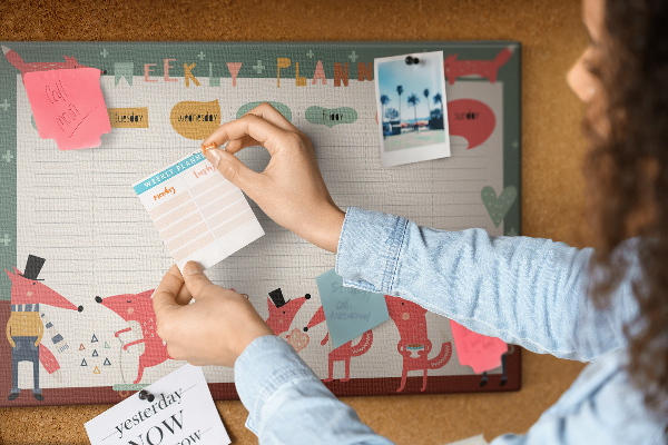 Tablero de corcho decorado con diseño de animales retro y agenda semanal