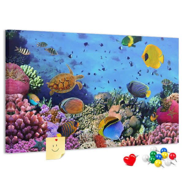 Pizarra de corcho con diseño de mundo tropical, colores submarinos y peces