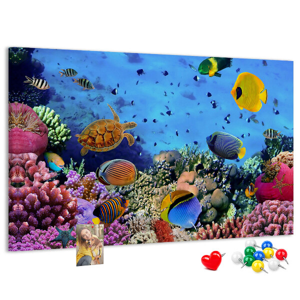 Pizarra de corcho con diseño de mundo tropical, colores submarinos y peces