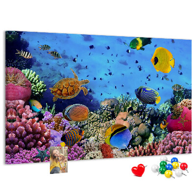 Pizarra de corcho con diseño de mundo tropical, colores submarinos y peces