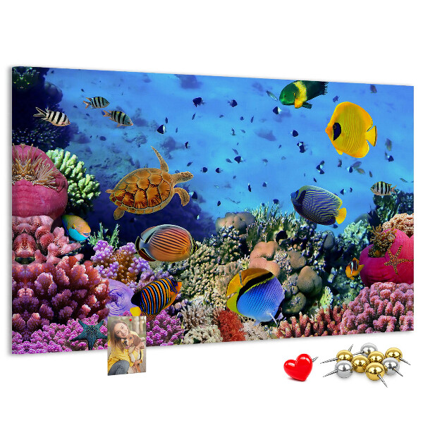 Pizarra de corcho con diseño de mundo tropical, colores submarinos y peces