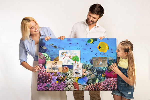 Pizarra de corcho con diseño de mundo tropical, colores submarinos y peces